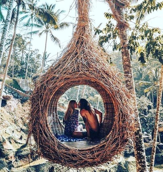 Chiken Nest Aloha Ubud Swing Bali