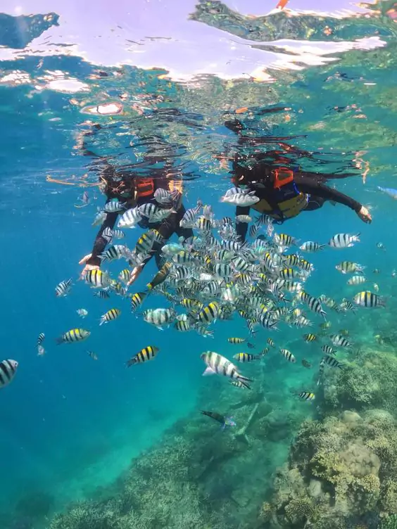 Gili Air Snorkeling Tour 